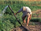 Umweltprojekte sollen Natur schützen und Frieden stiften!- Wassernot im Heiligen Land